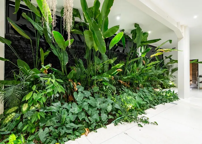 Villa Flow By Iam